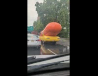Oscar mayer hot dog car 
