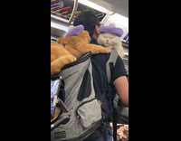 Man ride train with cats on carrier