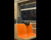 Collab WINY - Word Ebola written on subway window 