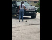 Girl lifts turtle on a walk 