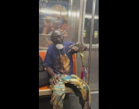 Purple shirt guy snake wrapped around arm 