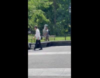 Woman garb dress try to rip off branch