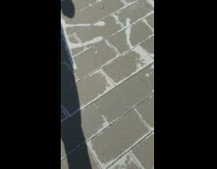 Collab DailyDoseOfInternet - Letter F U mark on ground after rain