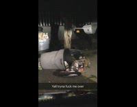 guy records raccoons in his garbage