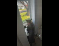 Bird runs into window chased by dogs in house 