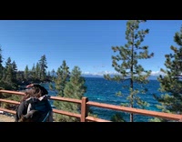 Woman walks four dogs with one cat in backpack on hiking trail next to the ocean 