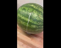 Watermelon leak milk but looks normal inside