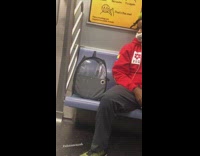 Guy pigeon bird in backpack red sweater