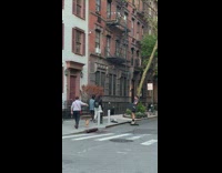 Brown dog barks at guy lifting weights 