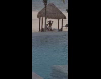 Woman white bikini kneel beach bed pictorial