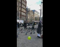 Birds sit on woman arms and feet