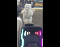 Guys plays saxophone with dancing animals