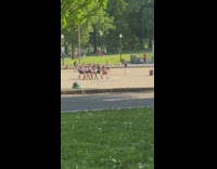 Group of women in skirt dance cover at the park