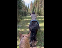 Horse in front of submitter keeps farting