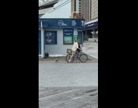 Collab WINY - Pug dog runs around guy bicycle lady