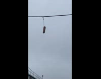 Collab WINY - Dildos tied on string hang on electric cable
