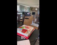 Black pug dog wood floor eighty degrees 