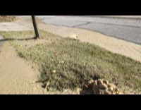 Men pushes ground and spills more water