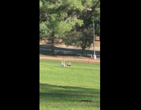 Woman lie down sideways stretch feet park