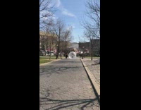 Park giant plastic ball social distancing 