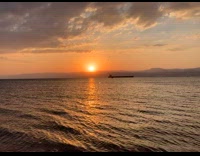 Sunset view of ocean while birds fly