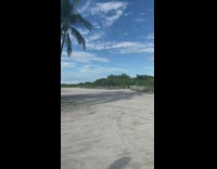 Man pink brief flex back muscles beach