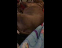 Brown dog ignores filmer when being called