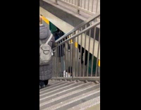 Person wears leather with feather at subway