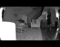 Cat hits head on table 