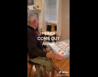 Cat comes out door after being called