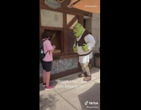 Donkey from shrek roasts pink shirt guy