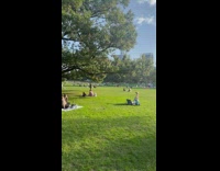 rat hopping in park through people having picnics 