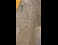 Submitter shows wet footprints inside train station