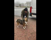 Testing radioactive dogs in chernobyl