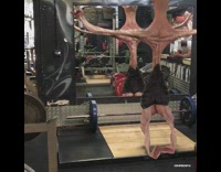 CGI Shirtless bodybuilder inflates body and bursts like a balloon