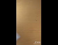 Collab BitchIG2 - Among us laptop camera cover