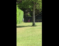 Neon pink shorts girl selfie park dog