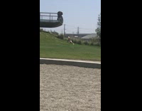 Woman lay on side grass photographer deck