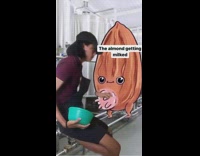 Guy walks in on almond getting milked 