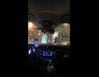 Girl sees person wearing koala costume