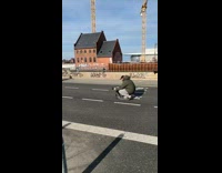 White dog poses in middle of street