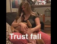 Brown Pitbull Trust Falls Into Owner