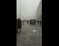 Seagull steal cookie from man blue jacket