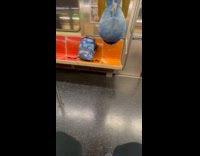 Man hangs upside down during train ride