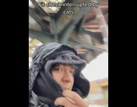 Fit check ruined by cats walking 