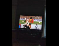 [Third Party] PLC - Cat watches Olympics and jumps on screen