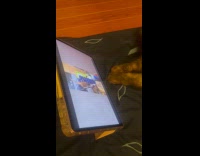 Cat busy watches cat videos on iPad