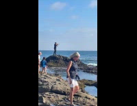 Collab IITW - Man plays violin on the beach rock