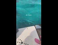 Woman bitten by dolphin and lost ring