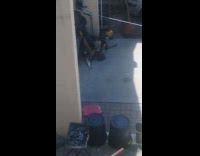 Cat eats fish on ground car house